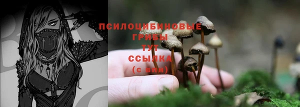 скорость Верея