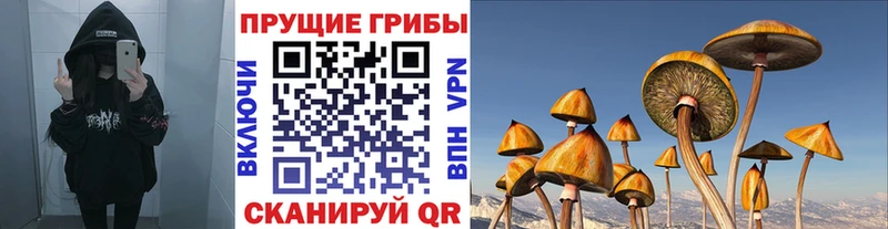 Купить где  Лахденпохья  Псилоцибиновые грибы мухоморы 